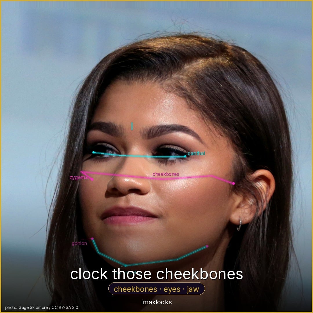 Zendaya — clock those cheekbones