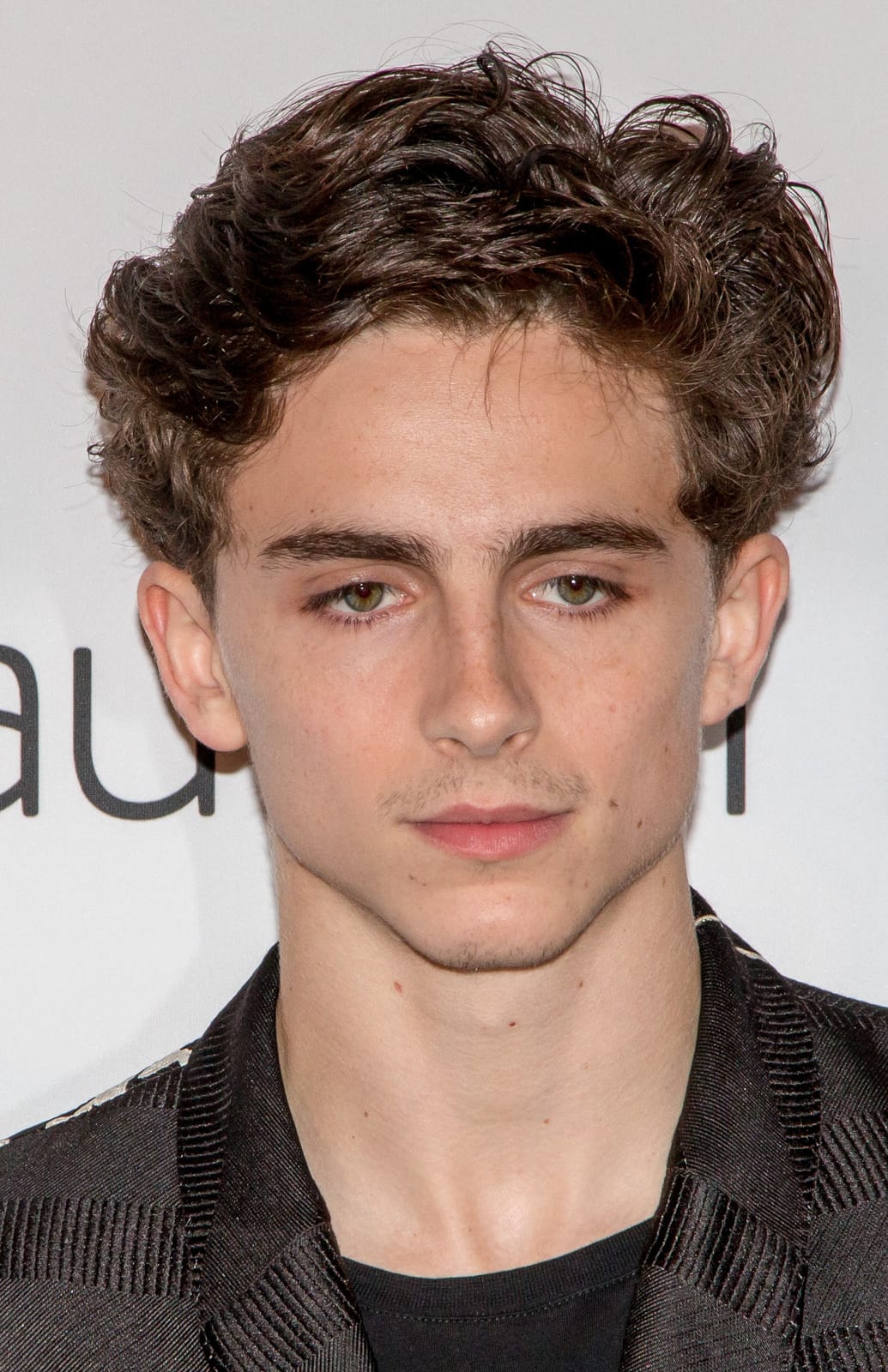 Timothée Chalamet archive photo