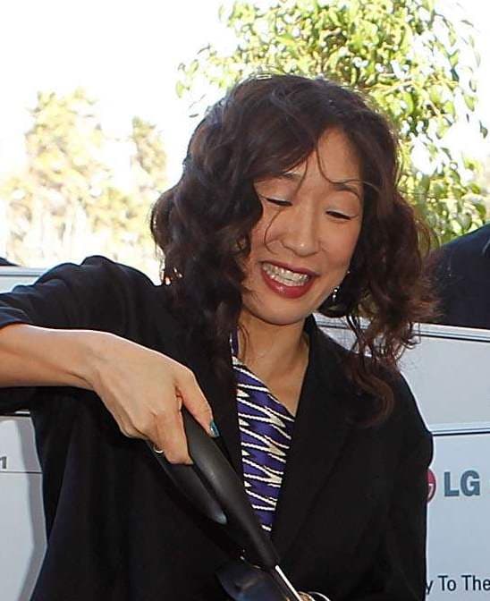 2011 Spirit Awards cropped — Grey's Anatomy–era refined jaw and soft smile.