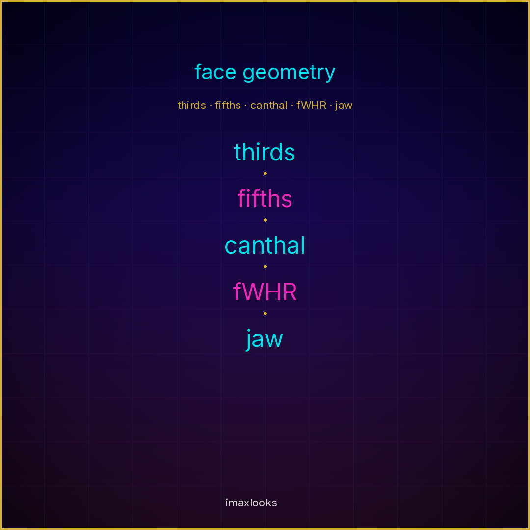 imaxlooks neon terms — thirds · fifths · canthal · fWHR · jaw